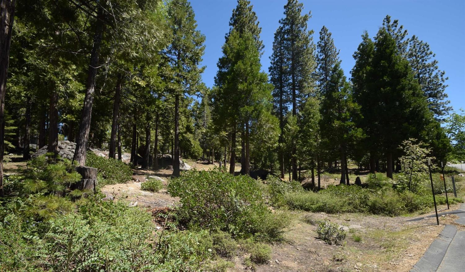 42243 Opal Ln #lot57, Shaver Lake, CA 93664