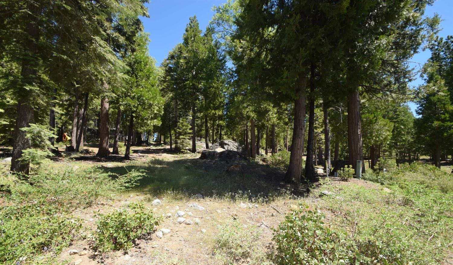 42243 Opal Ln #lot57, Shaver Lake, CA 93664