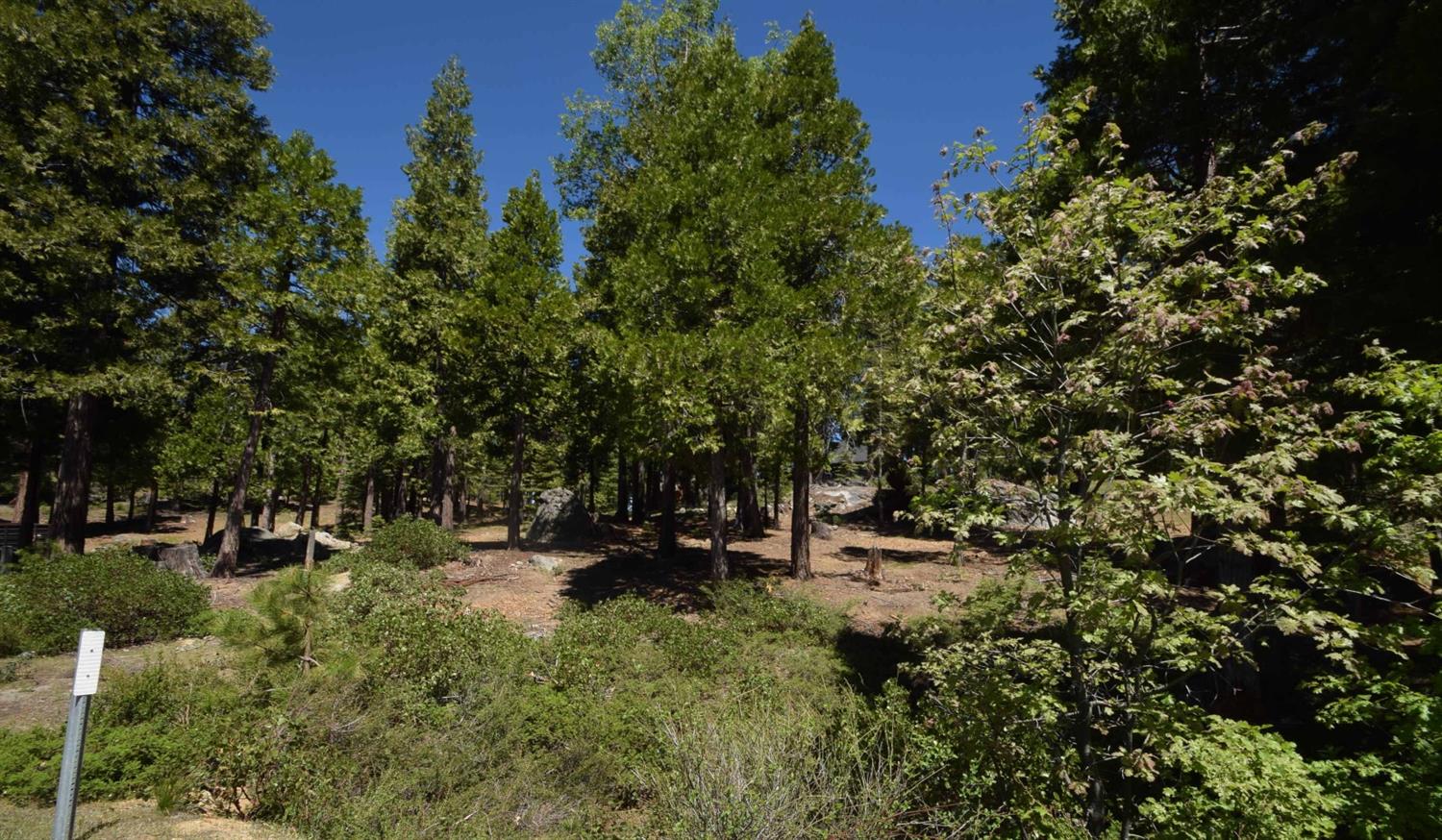 42243 Opal Ln #lot57, Shaver Lake, CA 93664