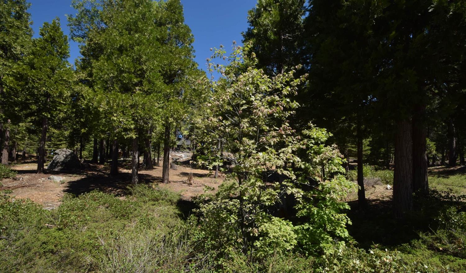42243 Opal Ln #lot57, Shaver Lake, CA 93664