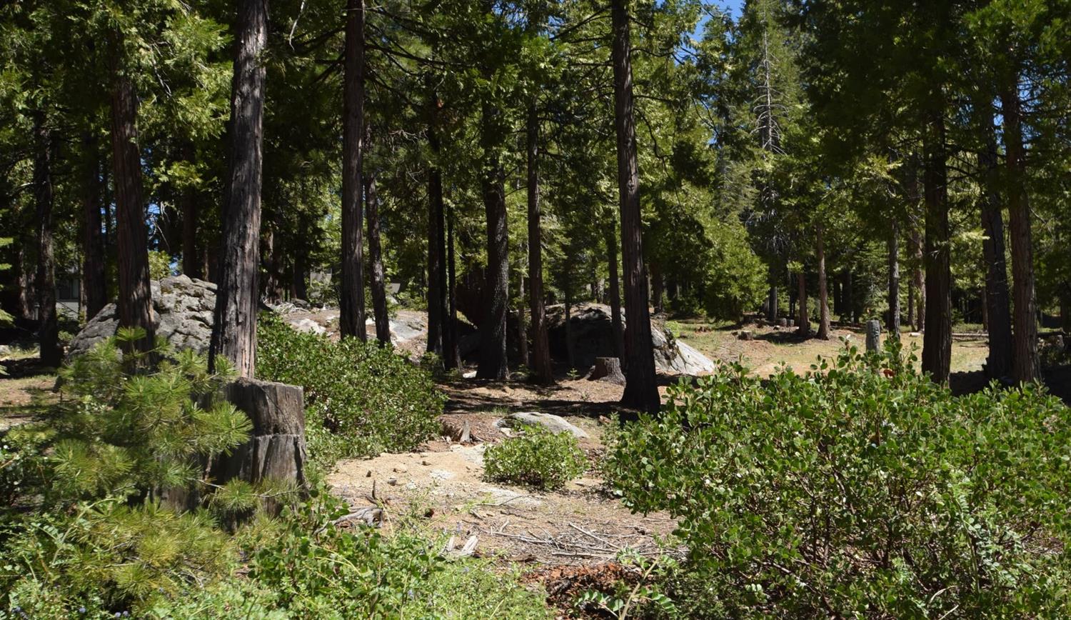 42243 Opal Ln #lot57, Shaver Lake, CA 93664