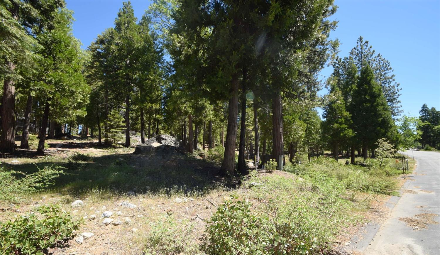 42243 Opal Ln #lot57, Shaver Lake, CA 93664