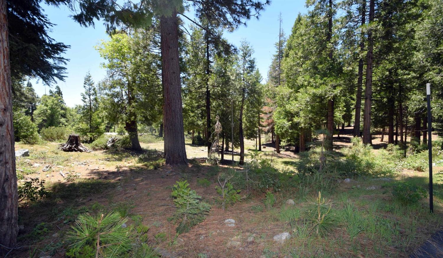 42436 Garnet Ln #lot48, Shaver Lake, CA 93664