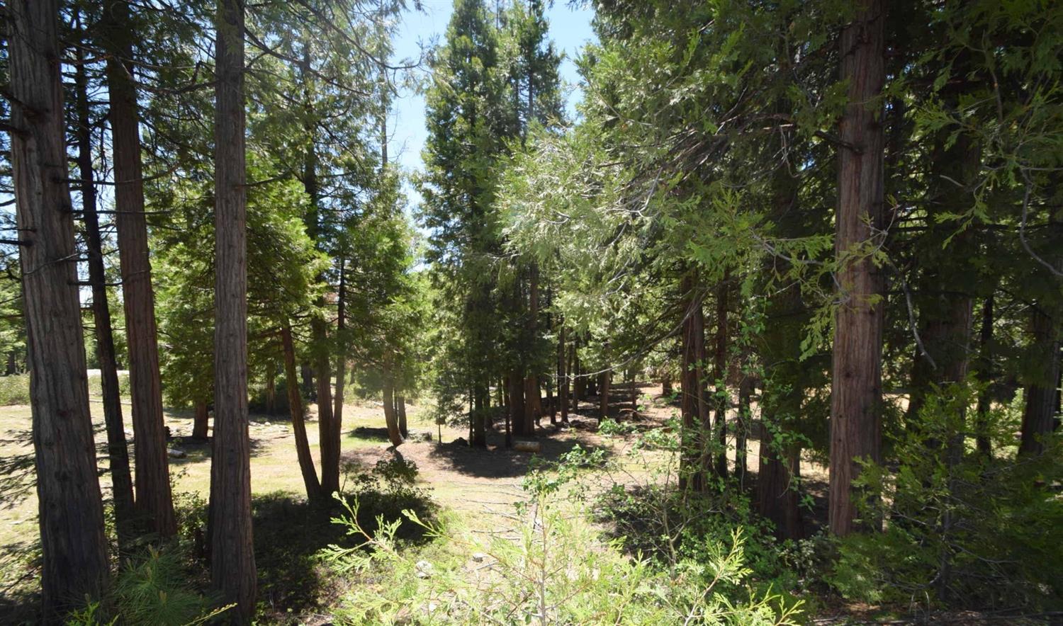 42436 Garnet Ln #lot48, Shaver Lake, CA 93664