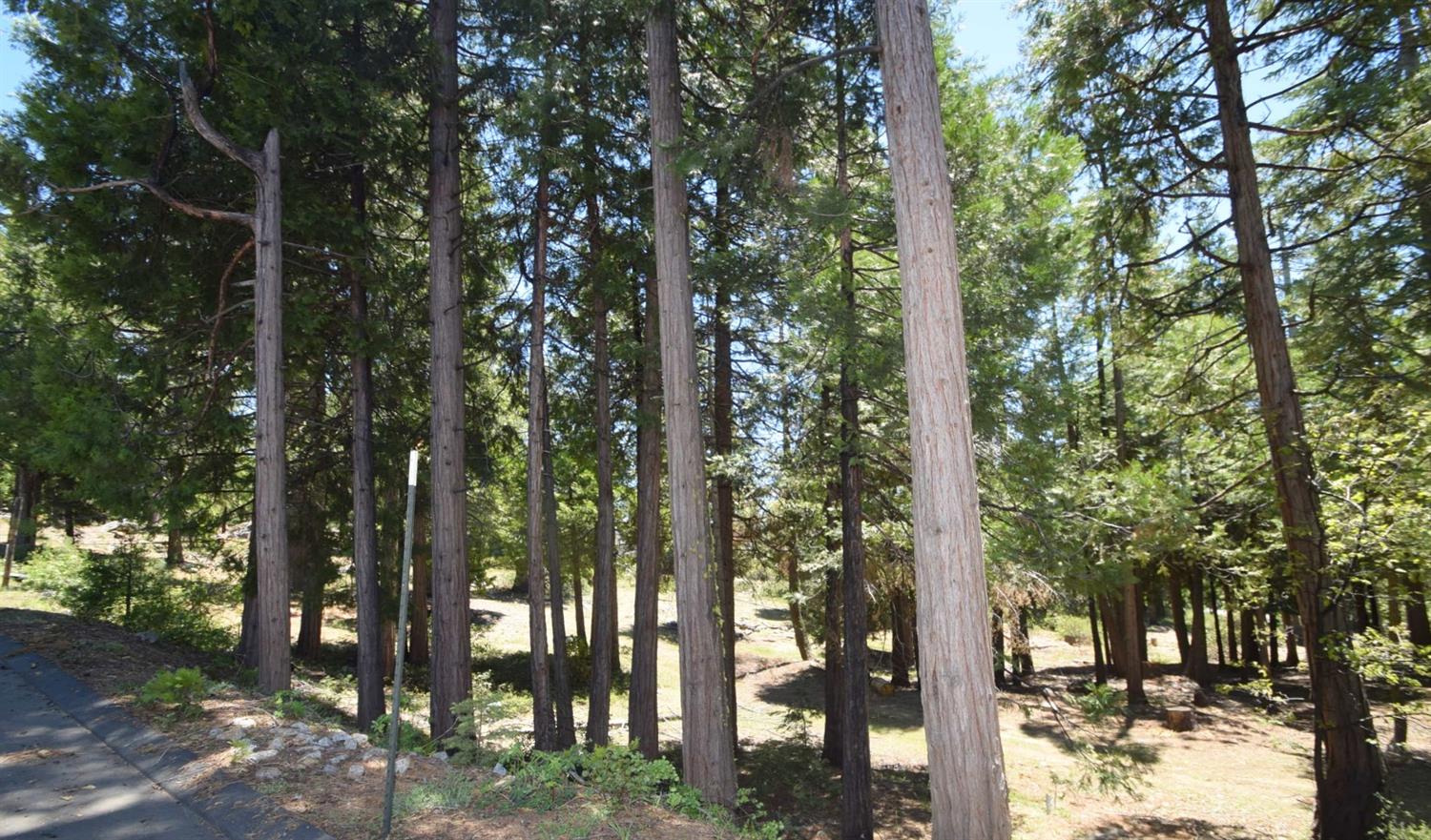 42436 Garnet Ln #lot48, Shaver Lake, CA 93664