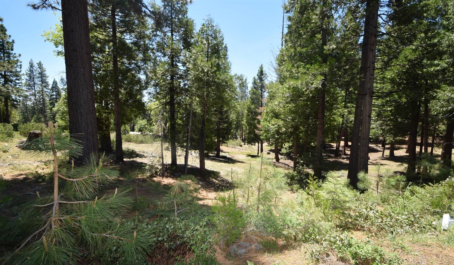 42436 Garnet Ln #lot48, Shaver Lake, CA 93664