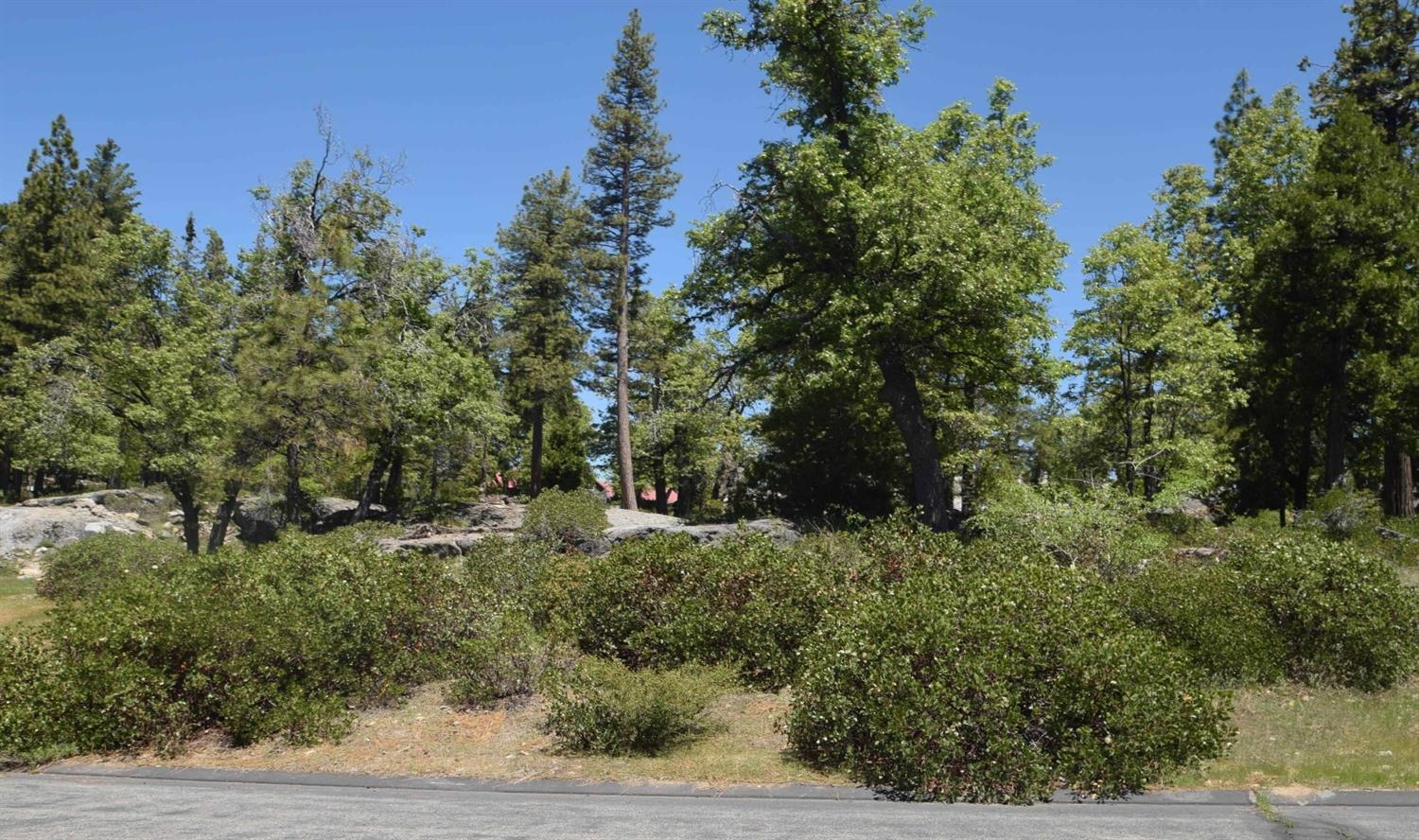 43006 Garnet Ln #lot36, Shaver Lake, CA 93664