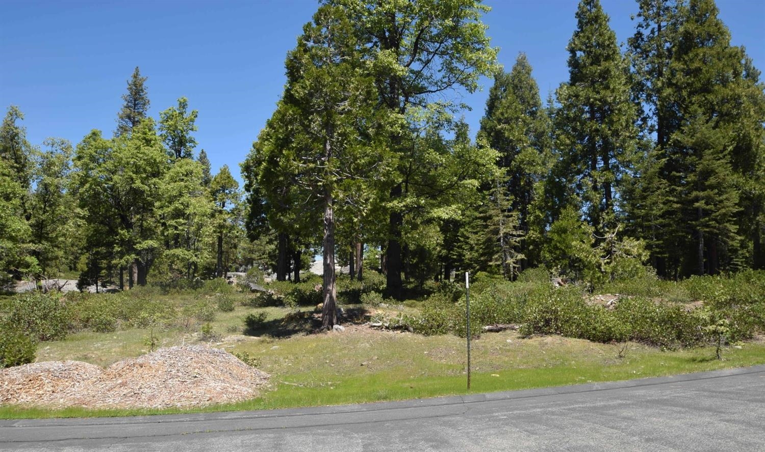 43006 Garnet Ln #lot36, Shaver Lake, CA 93664