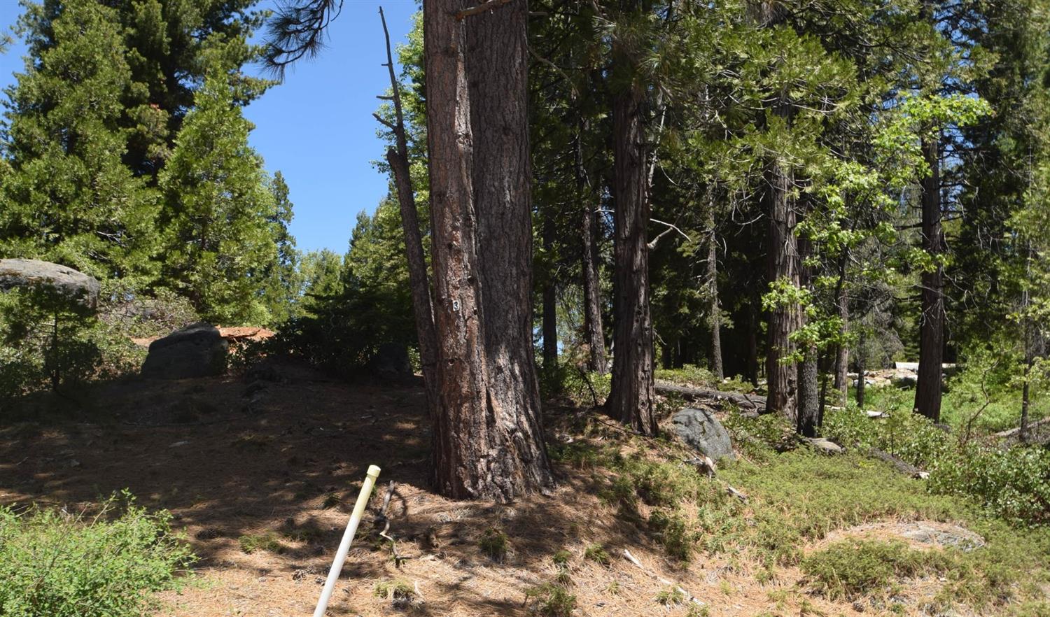 43327 Garnet Ln #Lot32, Shaver Lake, CA 93664