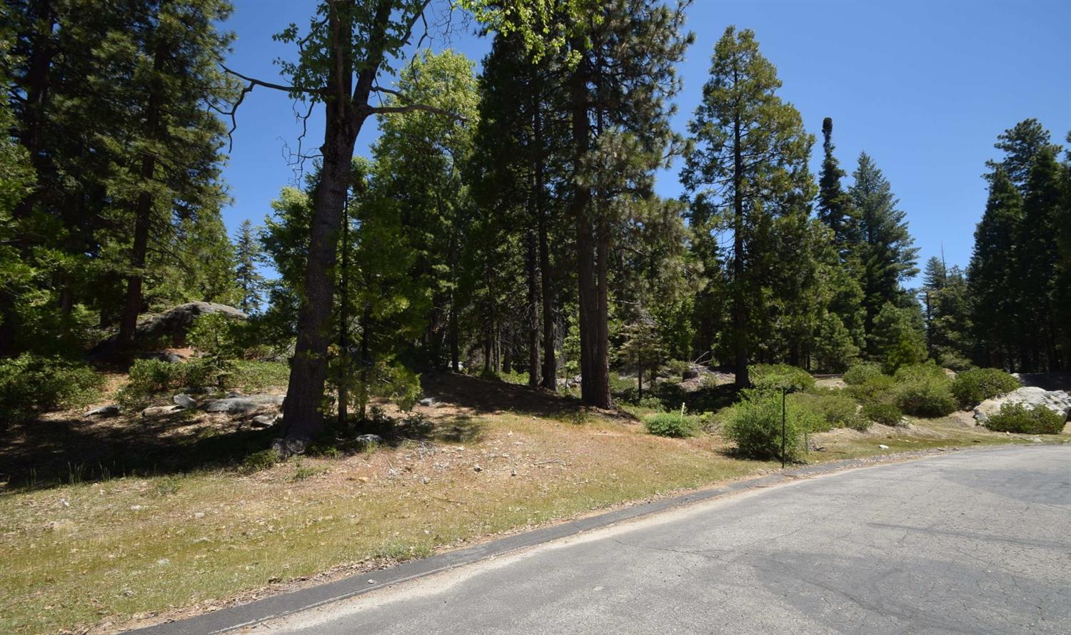 43327 Garnet Ln #Lot32, Shaver Lake, CA 93664