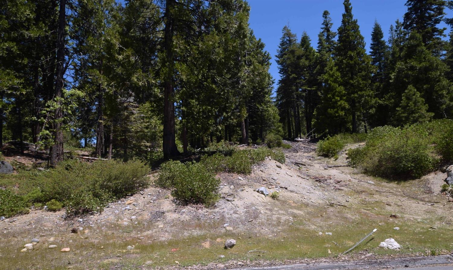 43327 Garnet Ln #Lot32, Shaver Lake, CA 93664