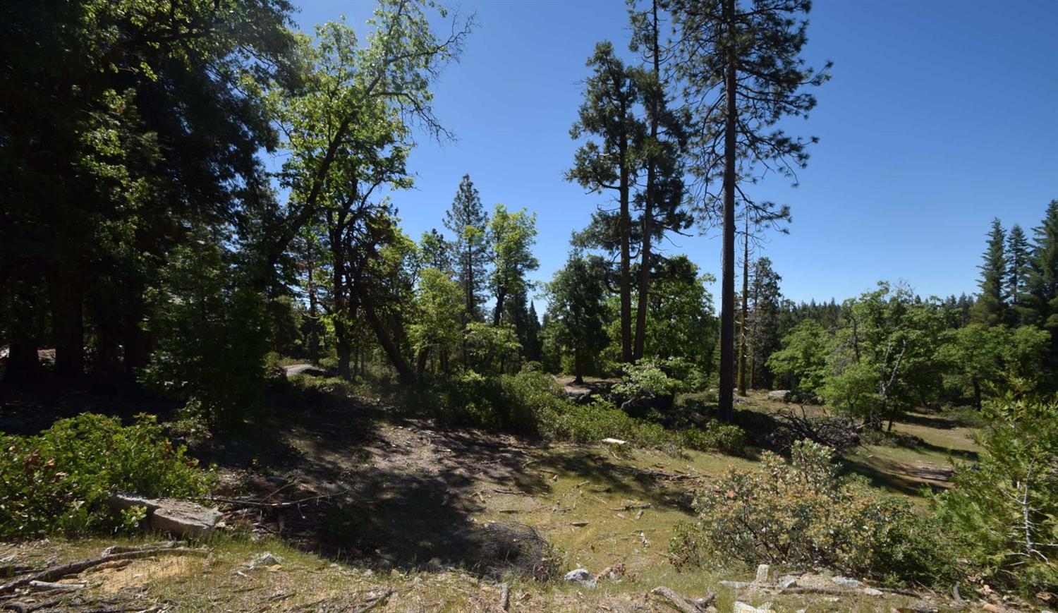 42352 Opal Ln #lot71, Shaver Lake, CA 93664