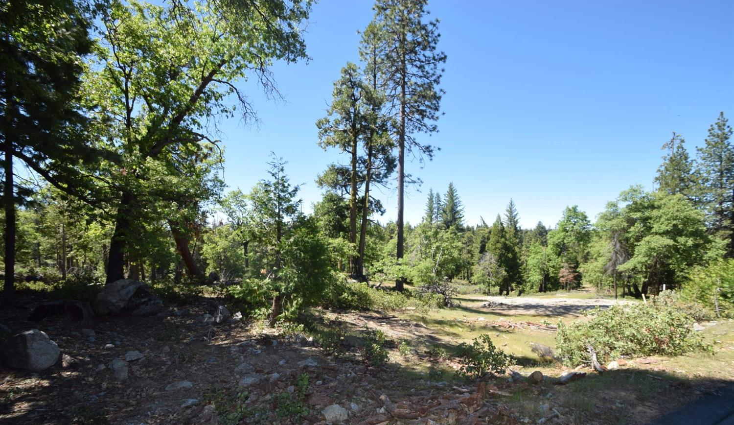 42352 Opal Ln #lot71, Shaver Lake, CA 93664