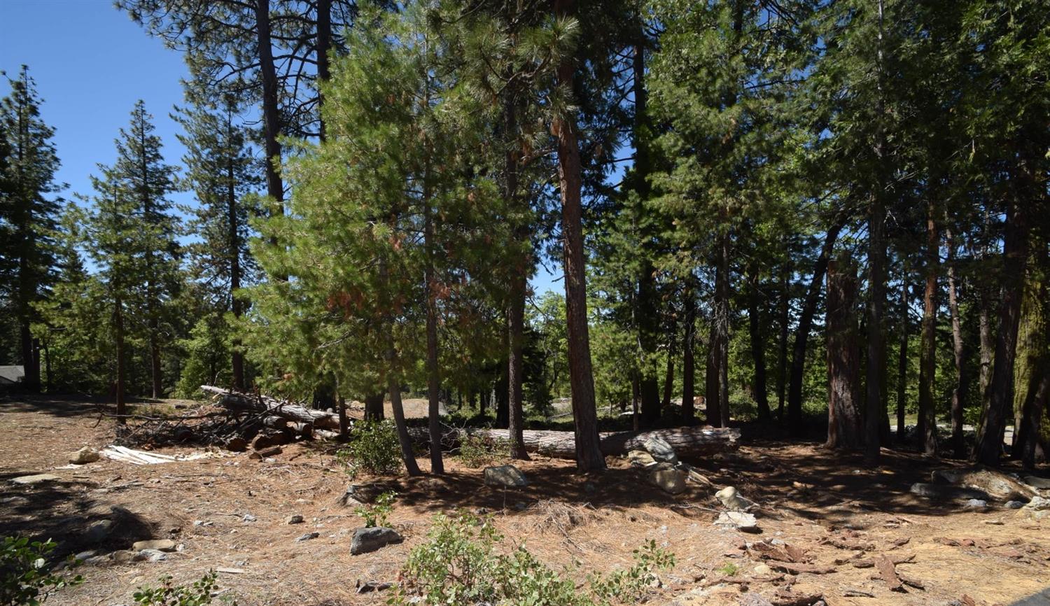 42352 Opal Ln #lot71, Shaver Lake, CA 93664