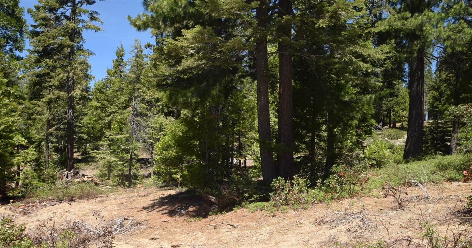 42137 Tourmaline Ln #lot80, Shaver Lake, CA 93664