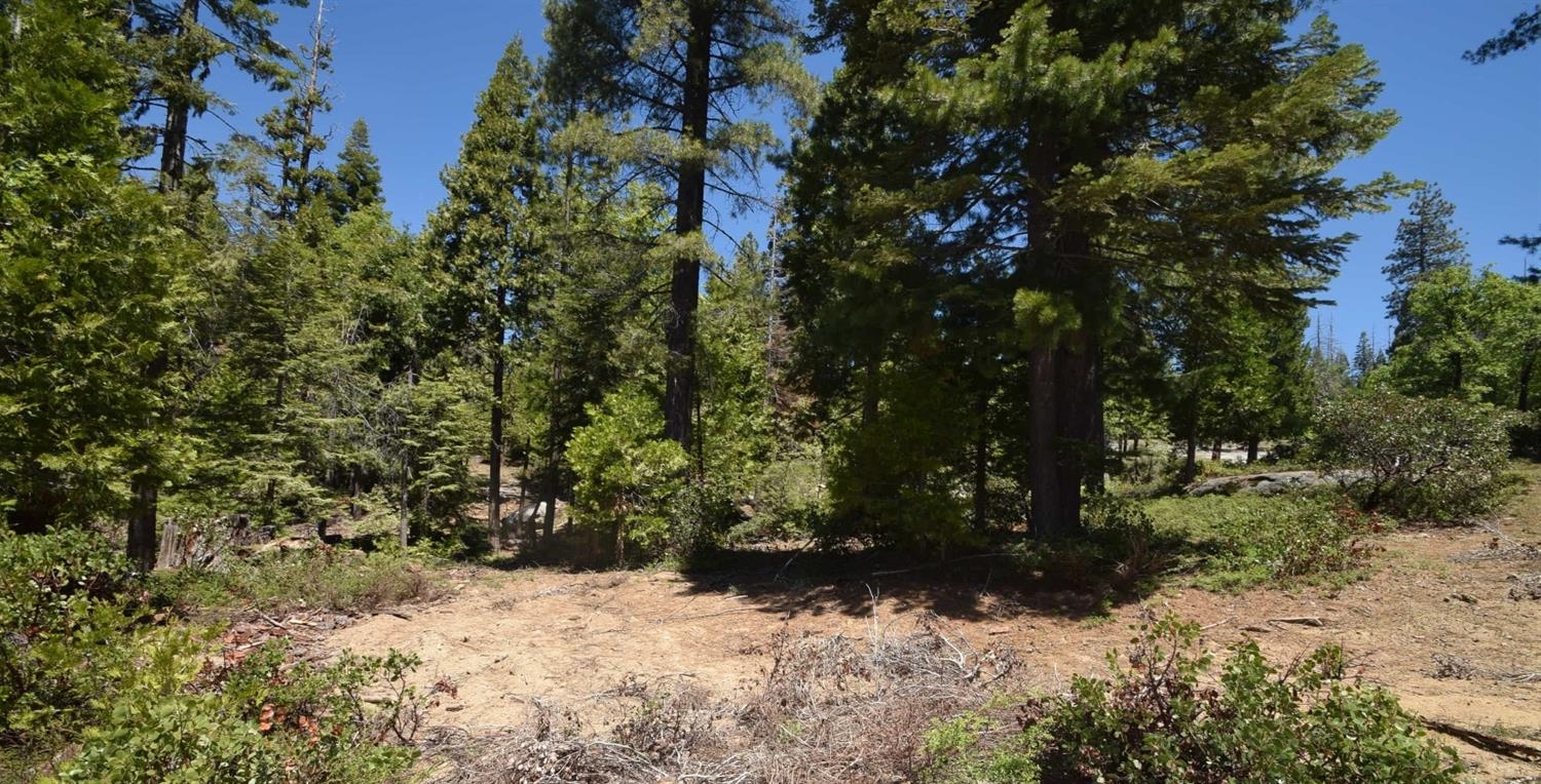 42137 Tourmaline Ln #lot80, Shaver Lake, CA 93664