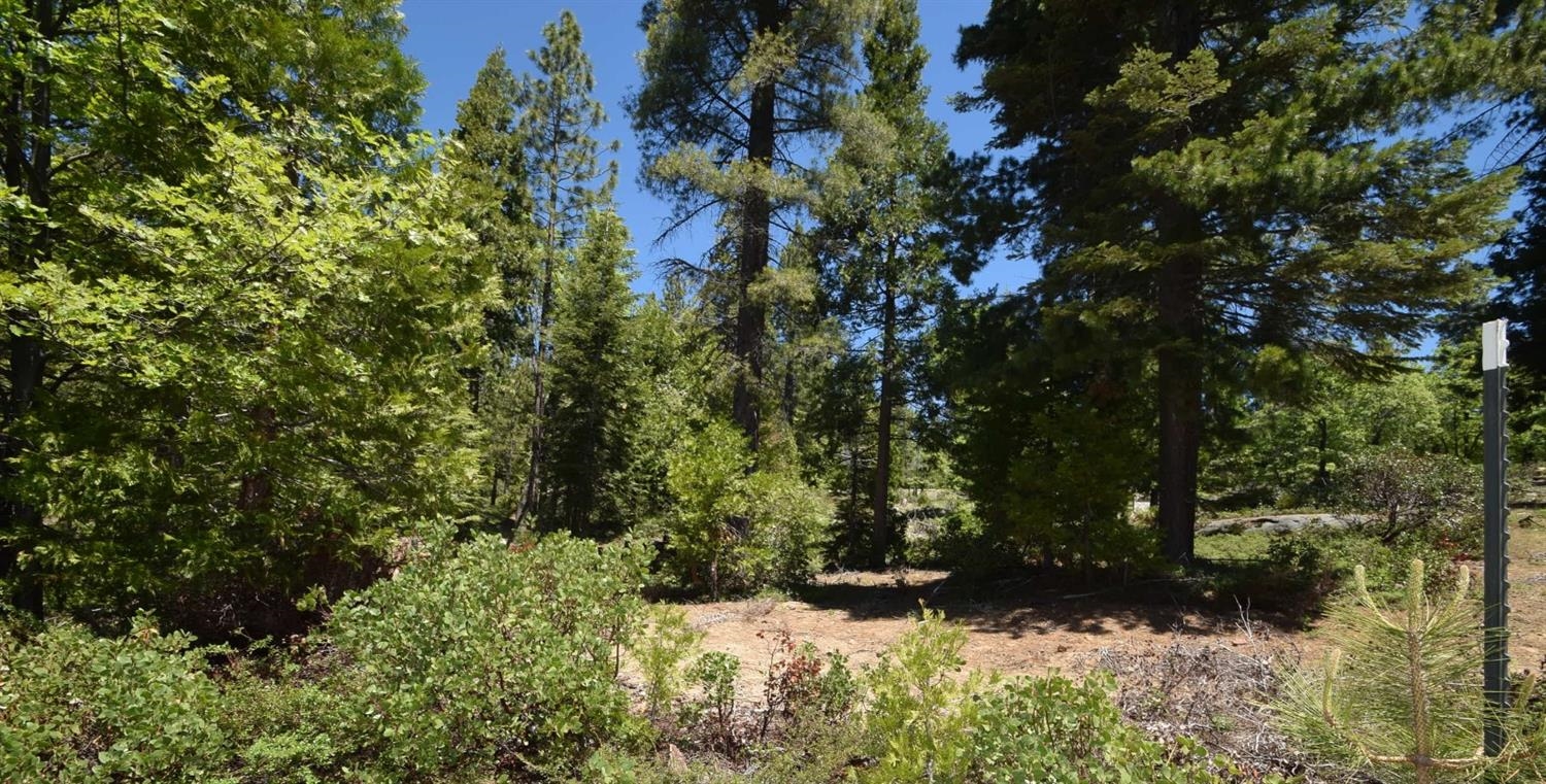 42137 Tourmaline Ln #lot80, Shaver Lake, CA 93664