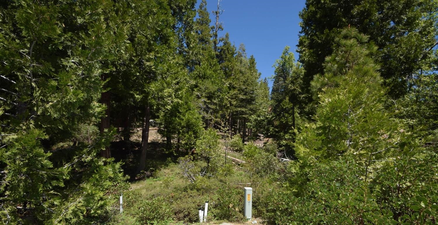 42137 Tourmaline Ln #lot80, Shaver Lake, CA 93664