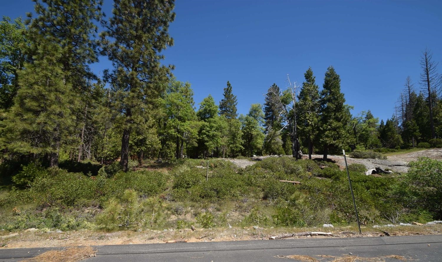 42311 Opal Ln #lot59, Shaver Lake, CA 93664