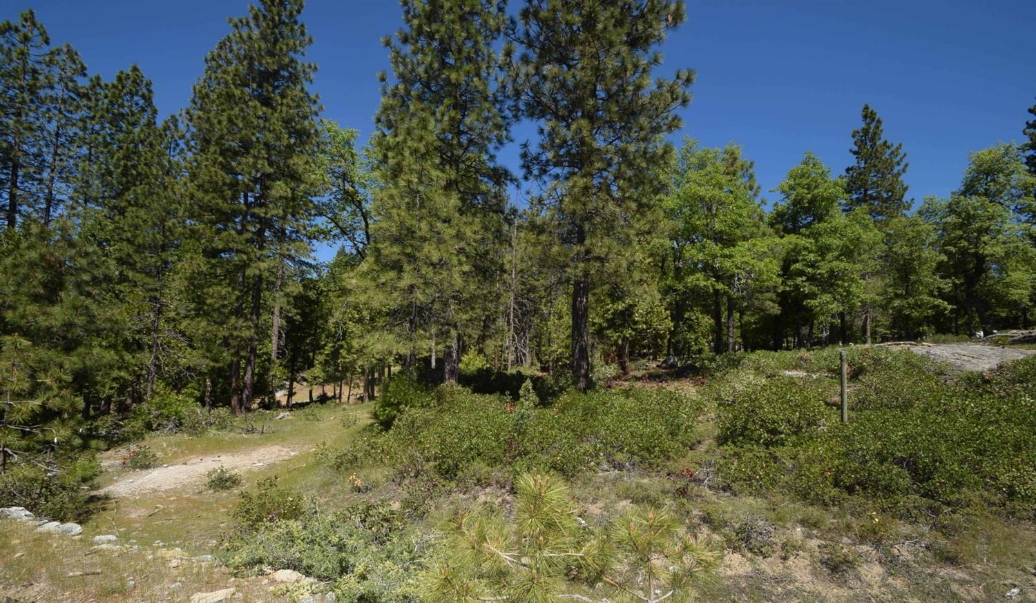 42311 Opal Ln #lot59, Shaver Lake, CA 93664