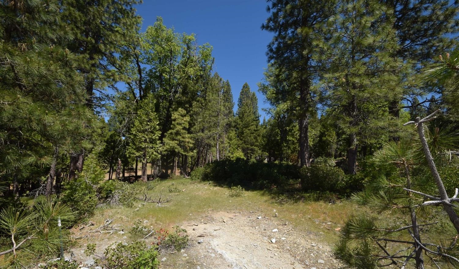 42311 Opal Ln #lot59, Shaver Lake, CA 93664