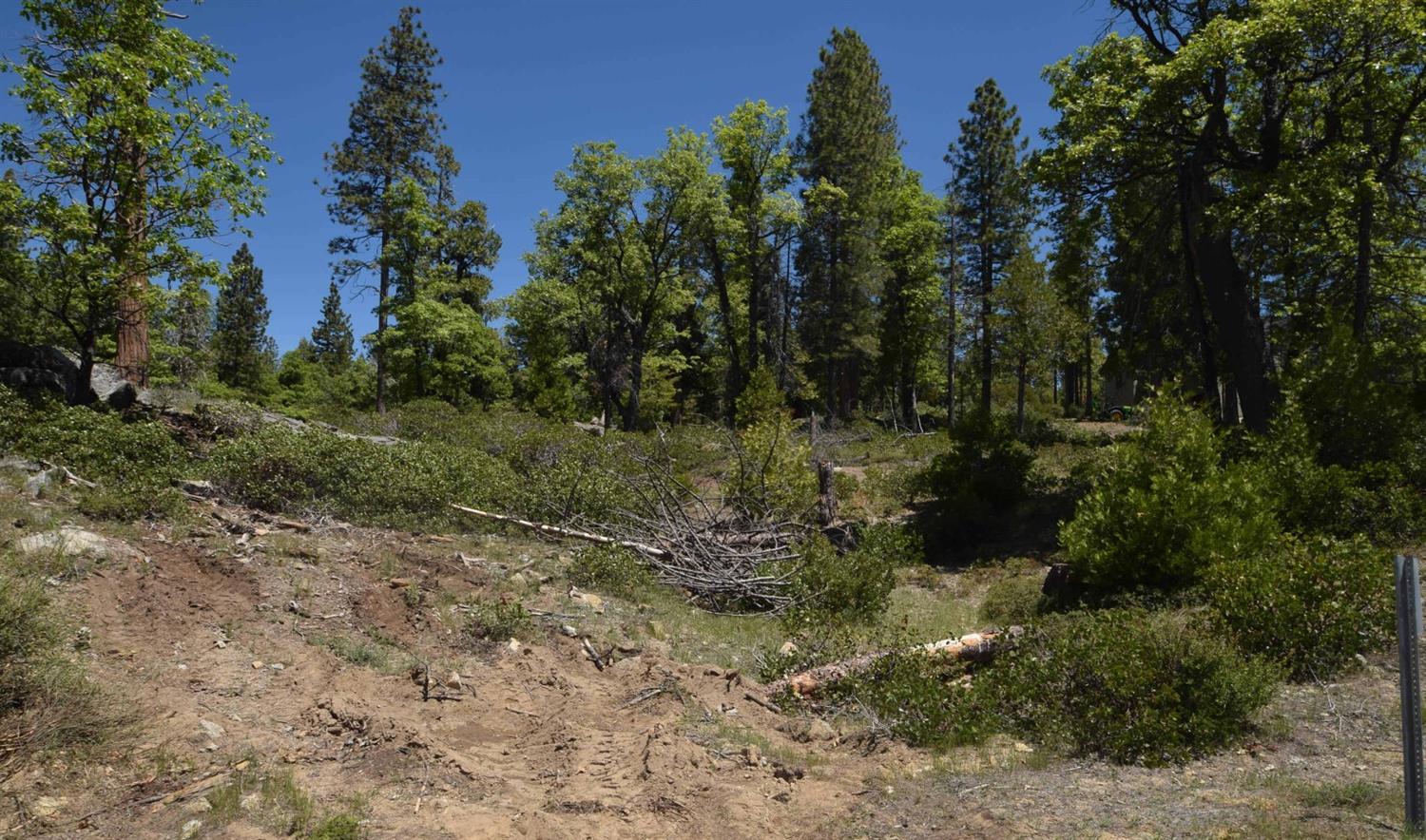 42251 Tourmaline Ln #lot82, Shaver Lake, CA 93664