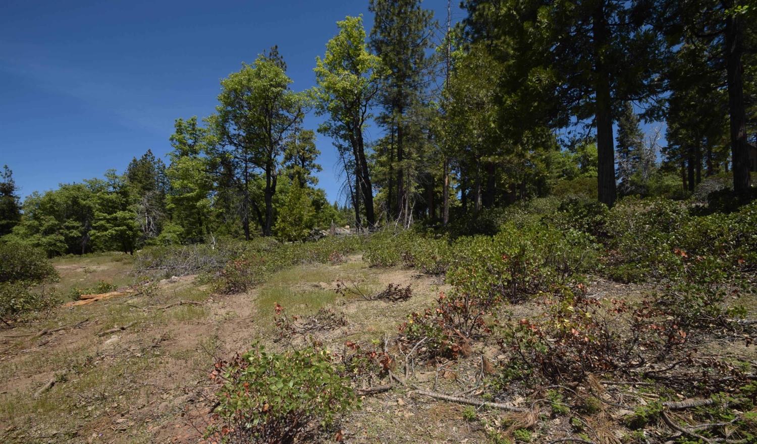 42251 Tourmaline Ln #lot82, Shaver Lake, CA 93664