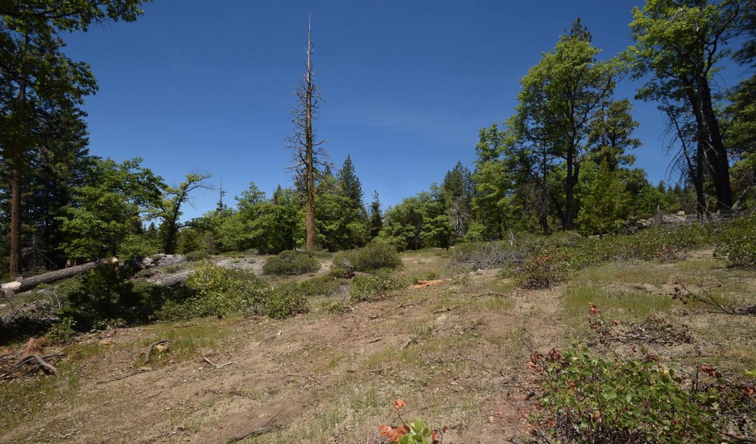 42251 Tourmaline Ln #lot82, Shaver Lake, CA 93664