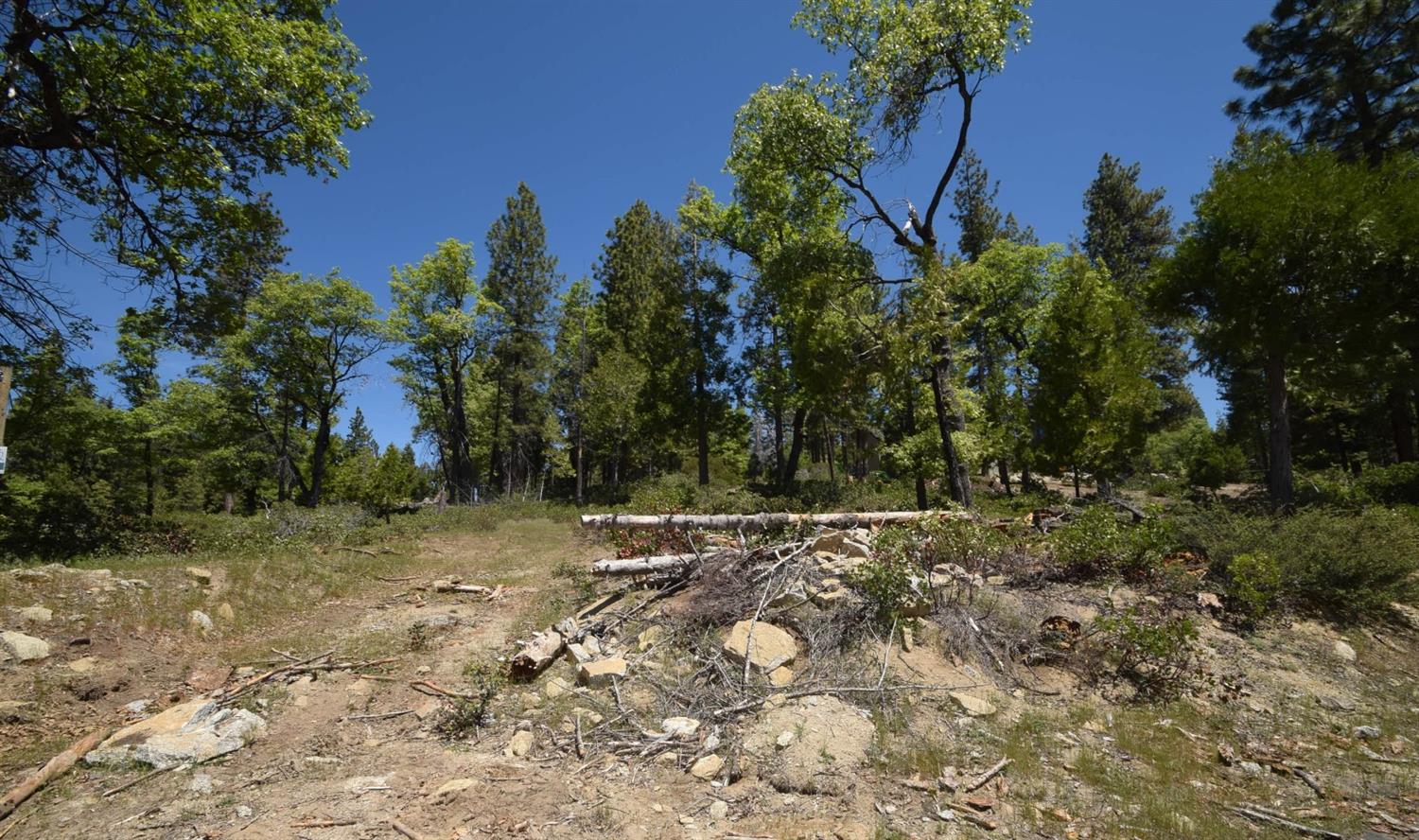 42251 Tourmaline Ln #lot82, Shaver Lake, CA 93664