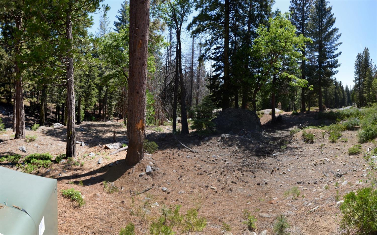 42473 Opal Ln #63, Shaver Lake, CA 93664