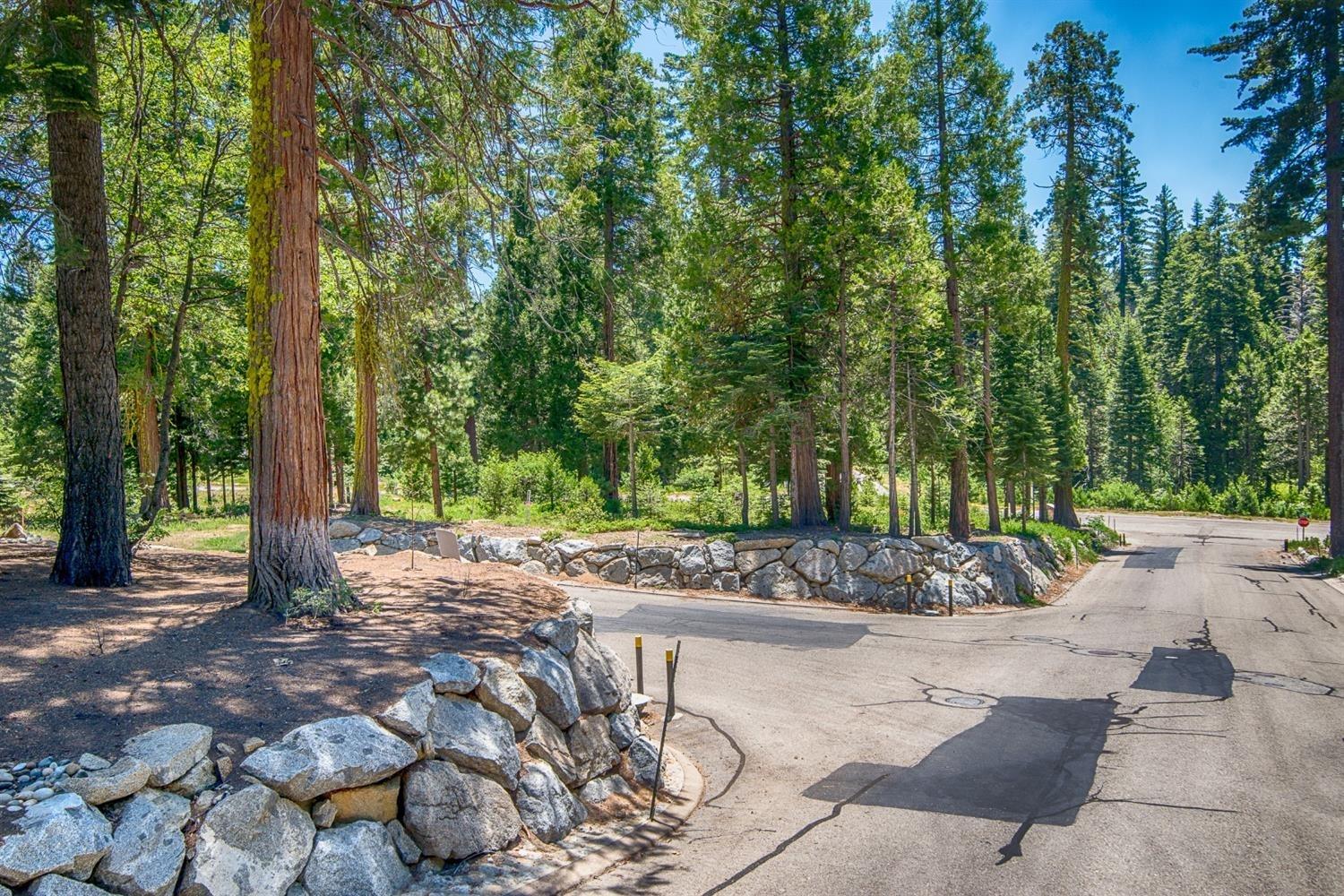 42473 Opal Ln #63, Shaver Lake, CA 93664