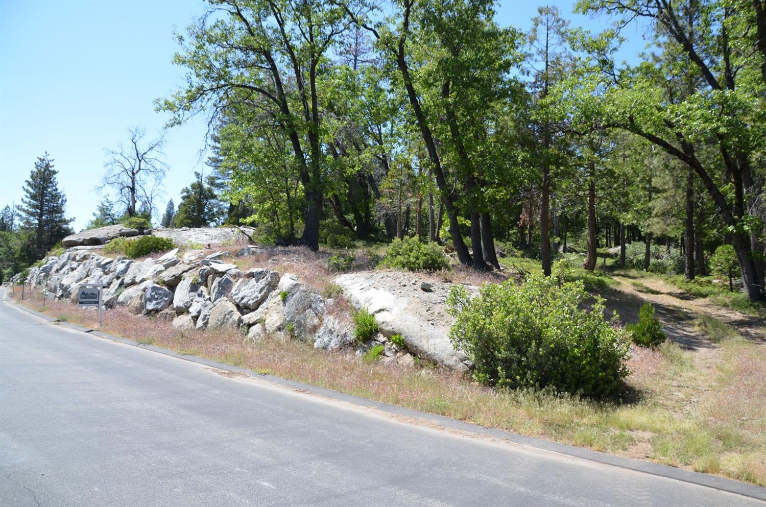 42473 Opal Ln #63, Shaver Lake, CA 93664