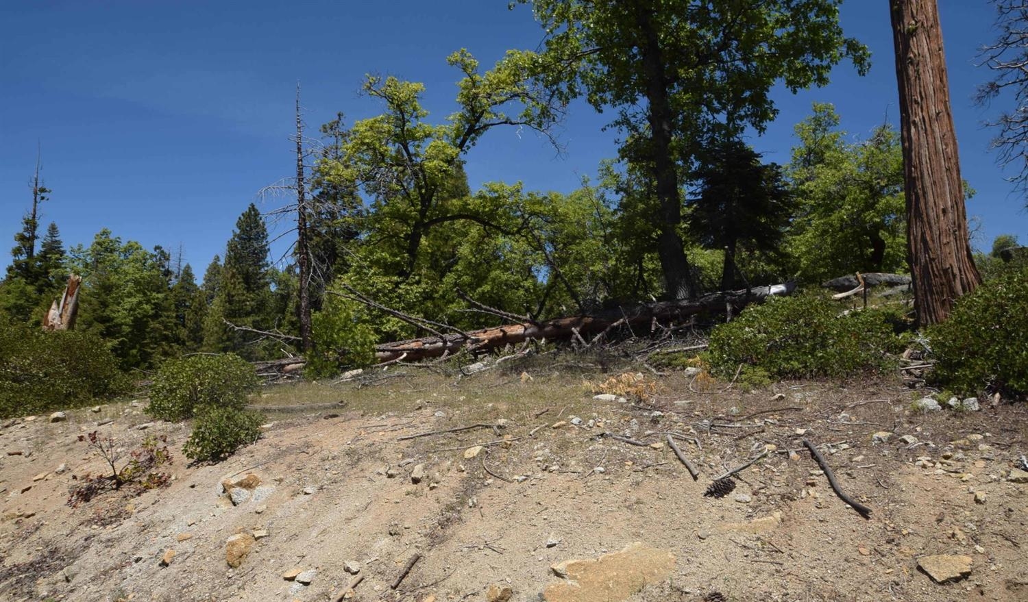42203 Tournaline Ln #lot81, Shaver Lake, CA 93664