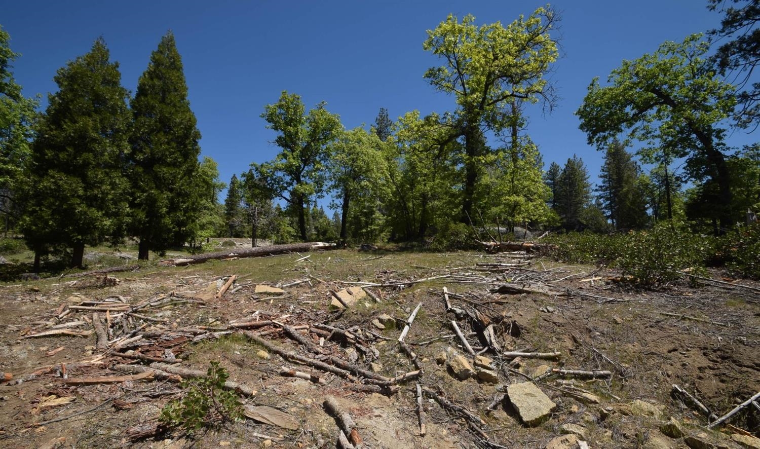 42203 Tournaline Ln #lot81, Shaver Lake, CA 93664