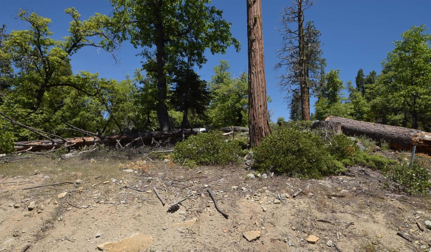 42203 Tournaline Ln #lot81, Shaver Lake, CA 93664
