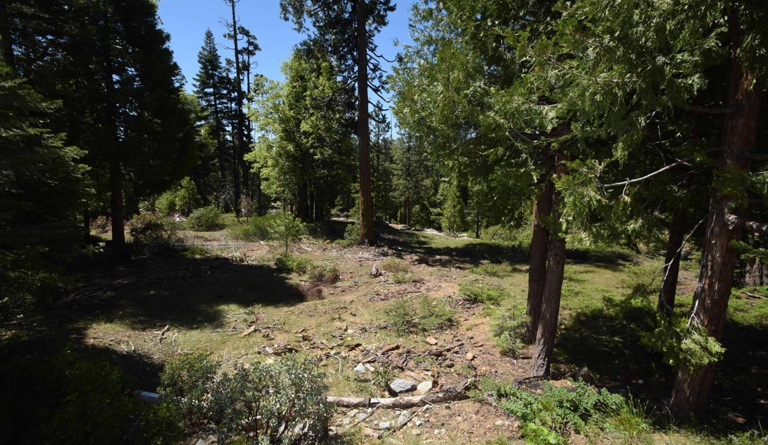 42208 Opal Ln #lot74, Shaver Lake, CA 93664