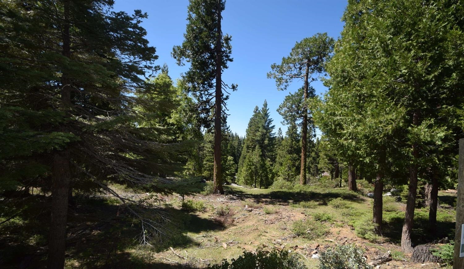 42208 Opal Ln #lot74, Shaver Lake, CA 93664