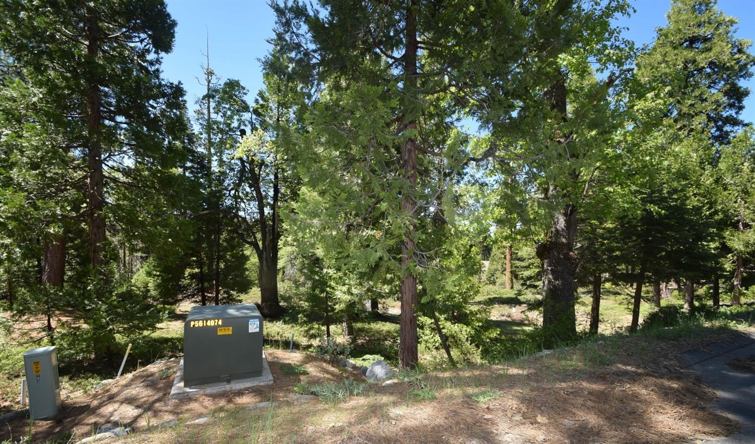 42208 Opal Ln #lot74, Shaver Lake, CA 93664