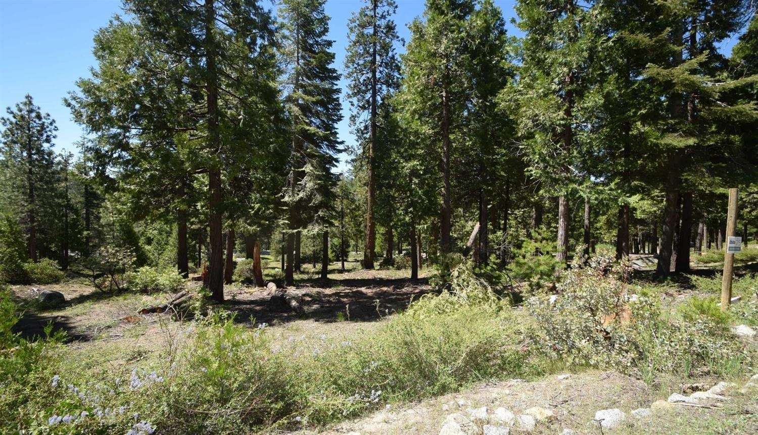42036 Tourmaline Ln #103, Shaver Lake, CA 93664