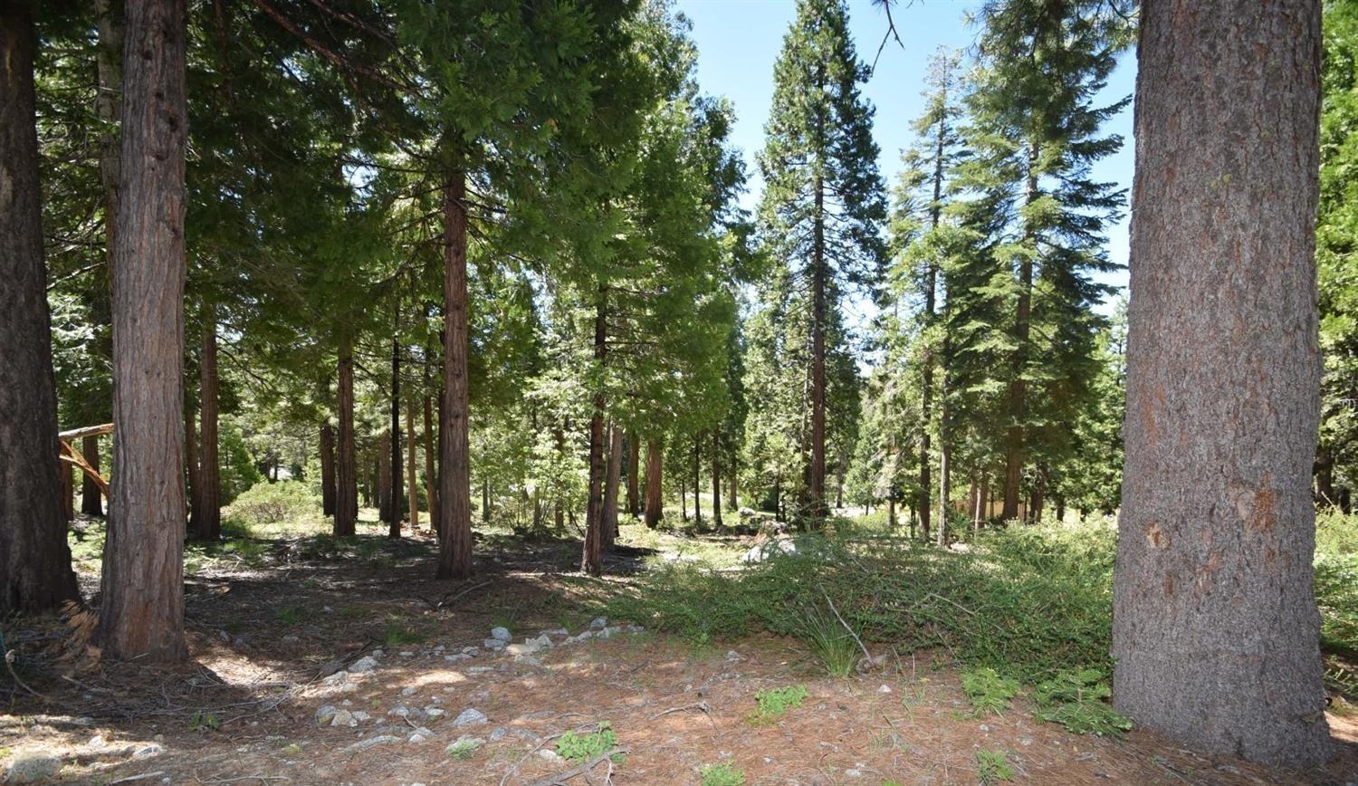 42036 Tourmaline Ln #103, Shaver Lake, CA 93664