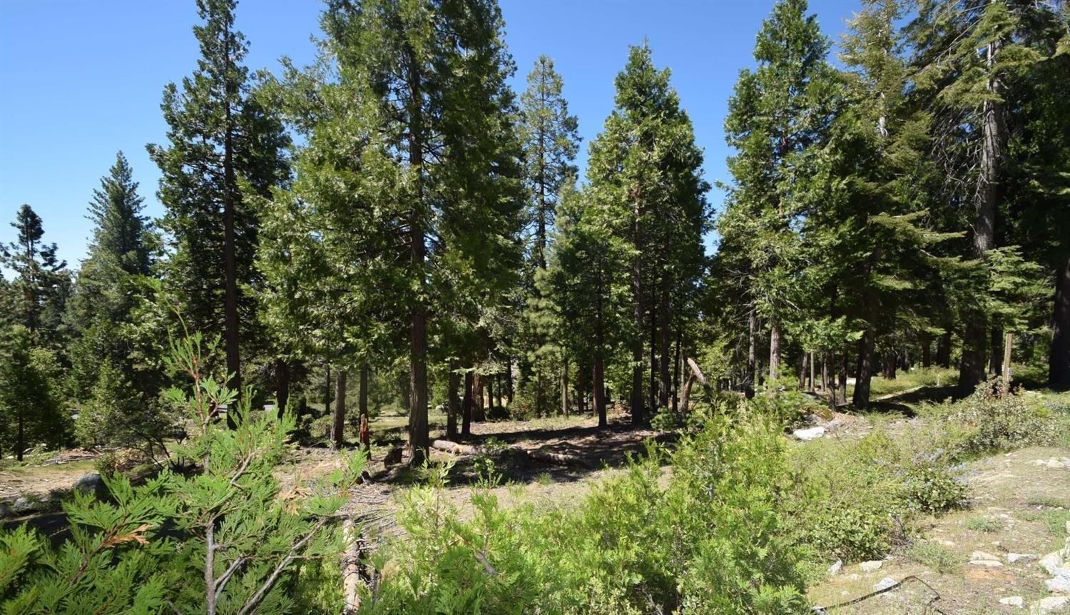 42036 Tourmaline Ln #103, Shaver Lake, CA 93664
