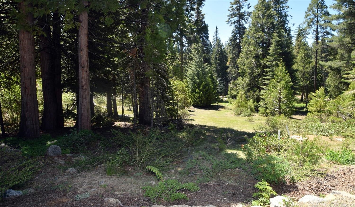 42084 Tourmaline Ln #102, Shaver Lake, CA 93664