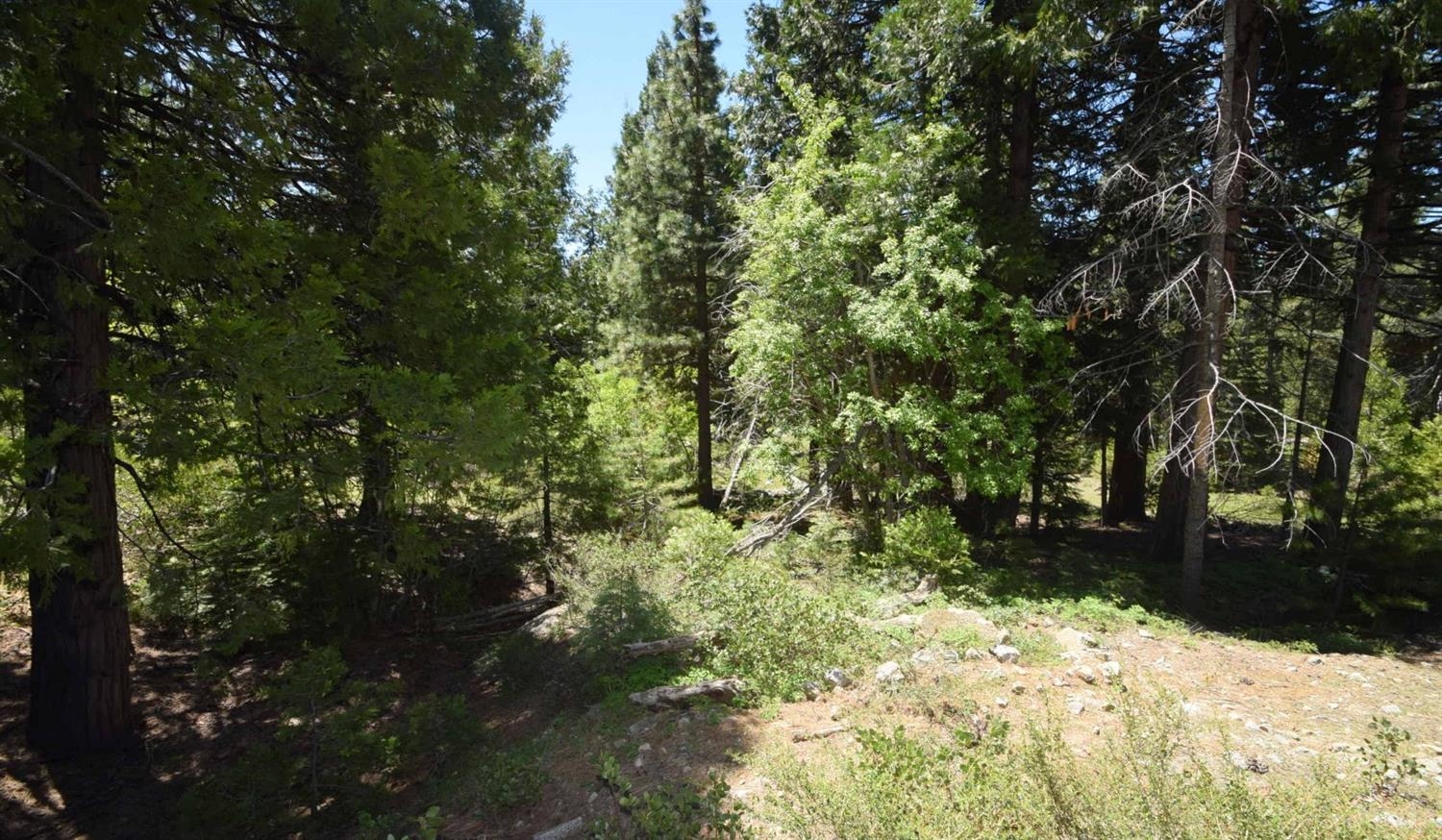 42084 Tourmaline Ln #102, Shaver Lake, CA 93664