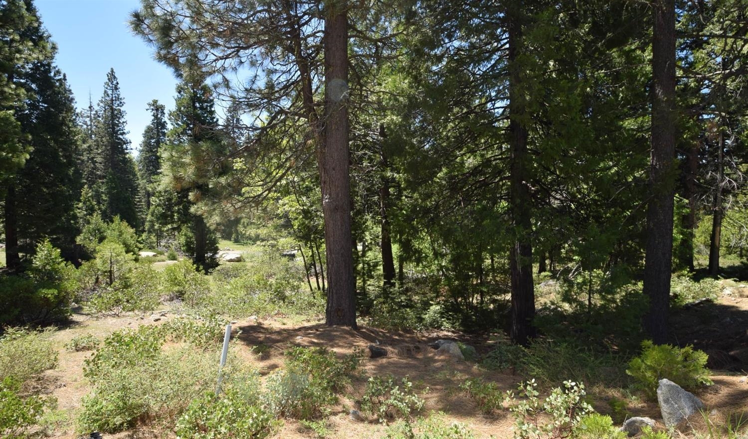 42084 Tourmaline Ln #102, Shaver Lake, CA 93664