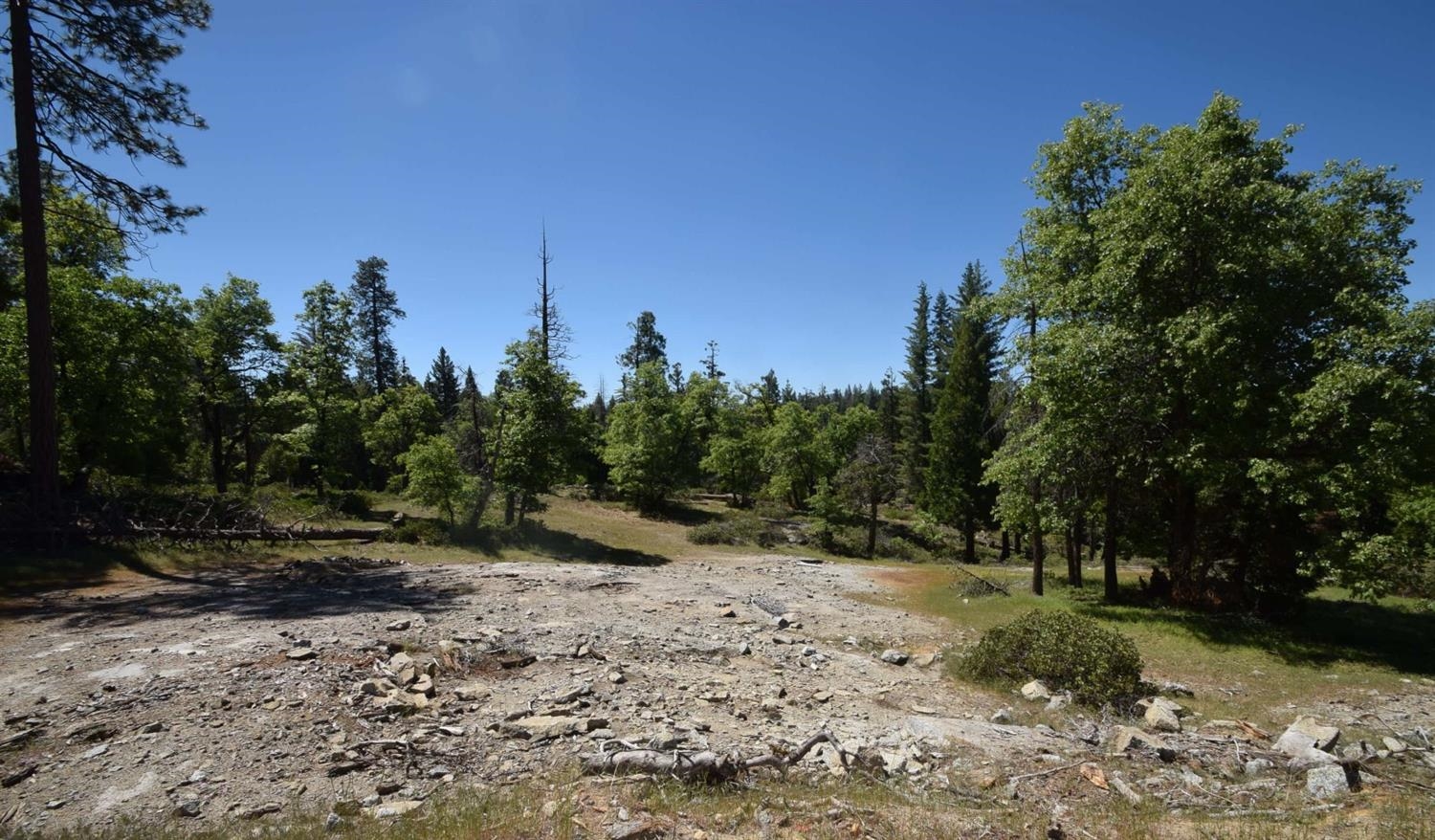 42302 Opal Ln #lot72, Shaver Lake, CA 93664