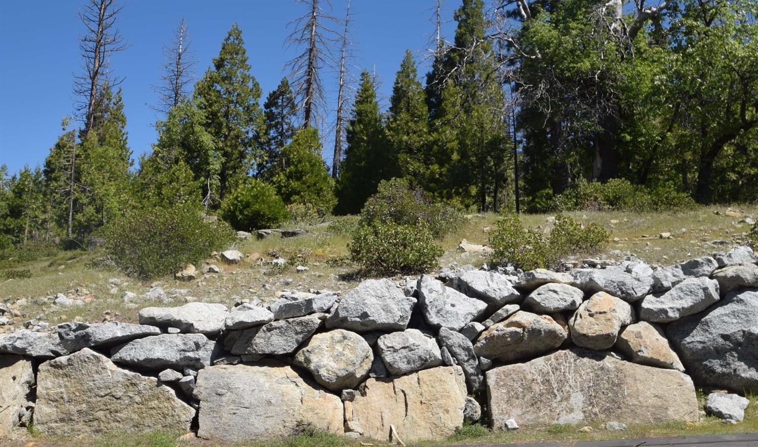 42387 Opal Ln #lot61, Shaver Lake, CA 93664