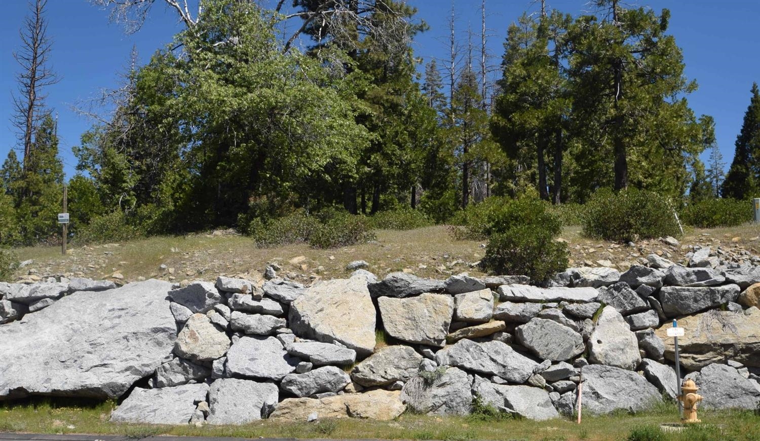 42387 Opal Ln #lot61, Shaver Lake, CA 93664