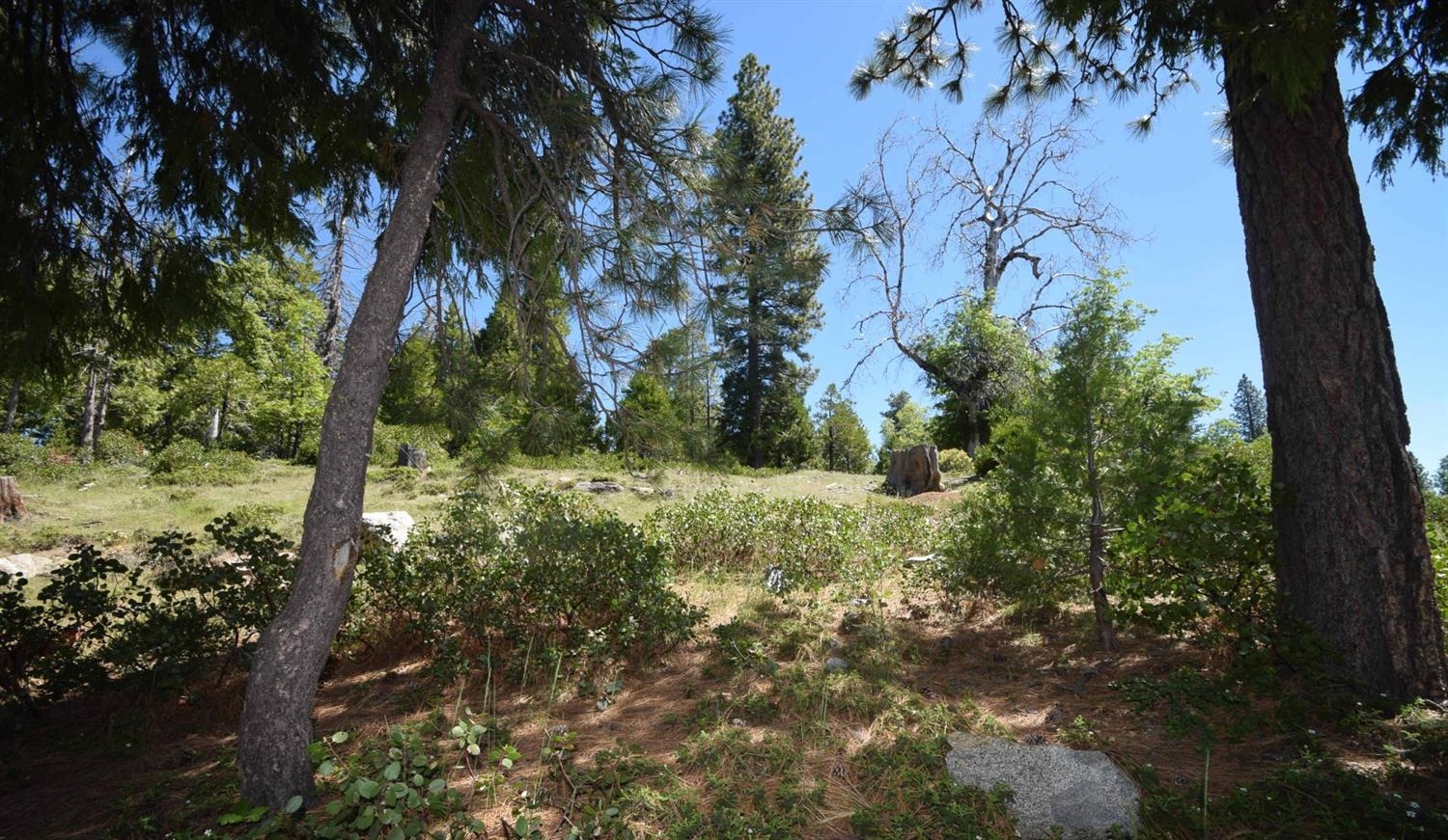 42387 Opal Ln #lot61, Shaver Lake, CA 93664
