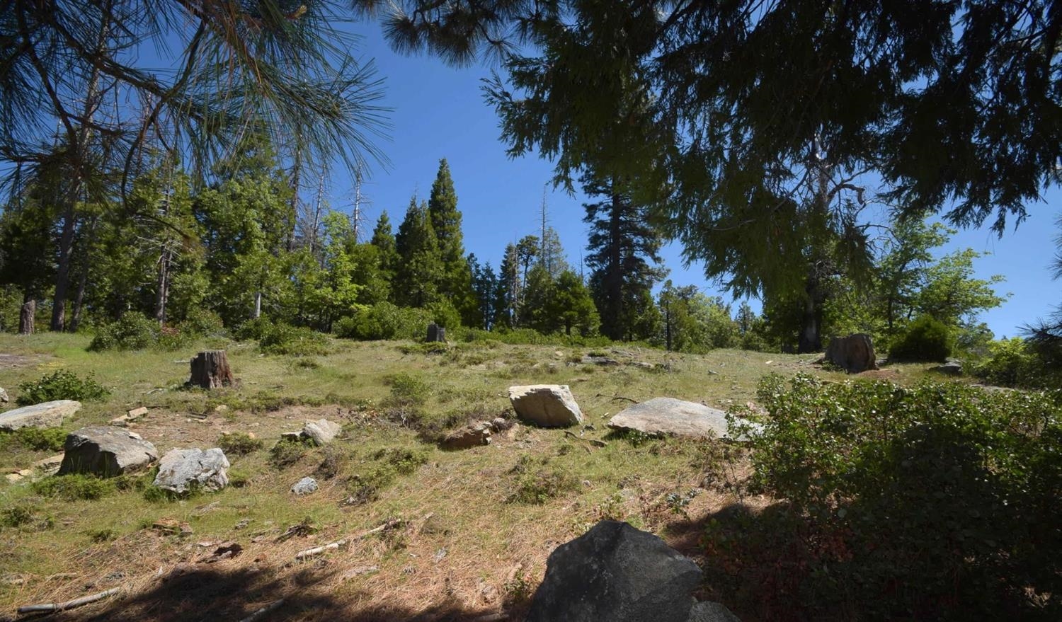 42387 Opal Ln #lot61, Shaver Lake, CA 93664