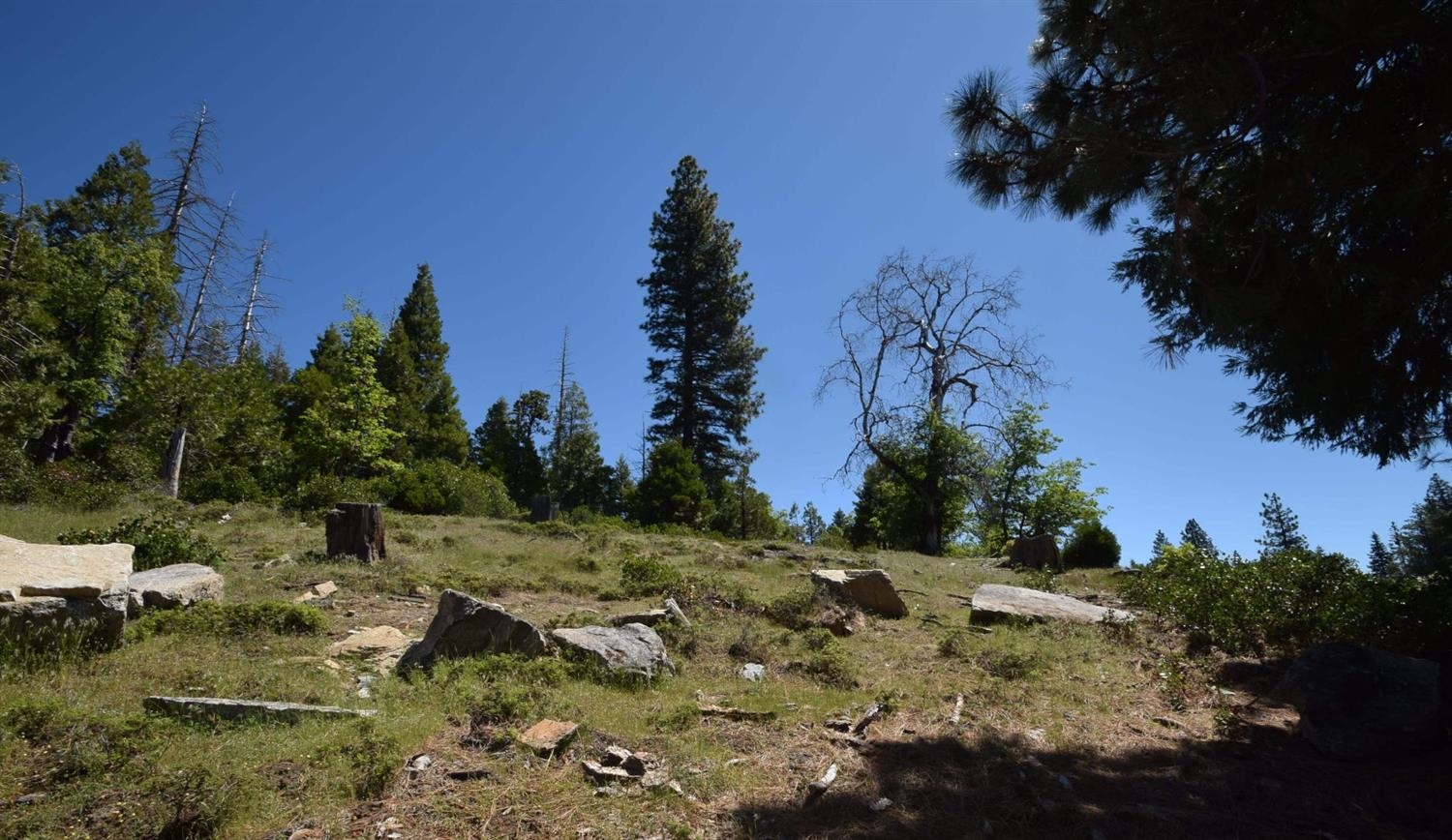 42387 Opal Ln #lot61, Shaver Lake, CA 93664